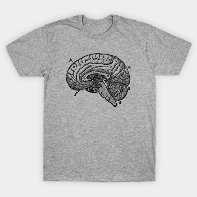 Simple Brain Diagram T-Shirt by Vintage Anatomy Prints